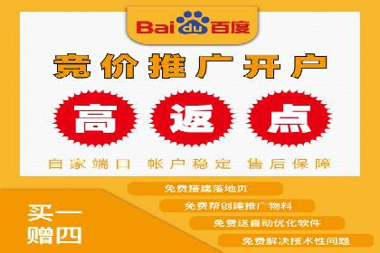 百度搜索推广实战经验：经典案例启示录